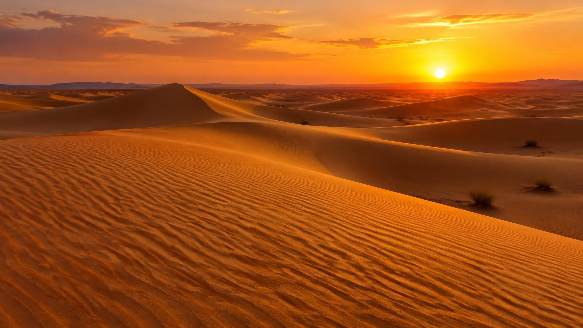 Desert sand dunes at golden hour